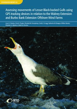 Assessing movements of Lesser Black-backed Gulls using GPS tracking devices in relation to the Walney Extension and Burbo Bank Extension Offshore ...