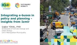 Integrating e-buses in policy and planning - insights from Izmir - &Ccedil;ağlar T&Uuml;KEL, PHD
