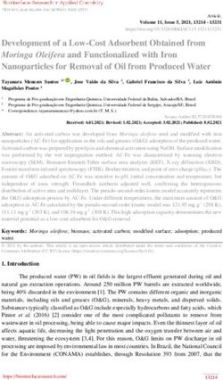 Development of a Low-Cost Adsorbent Obtained from Moringa Oleifera and Functionalized with Iron Nanoparticles for Removal of Oil from Produced Water