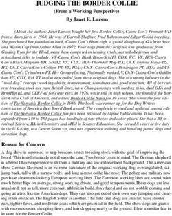 JUDGING THE BORDER COLLIE - (From a Working Perspective) By Janet E. Larson