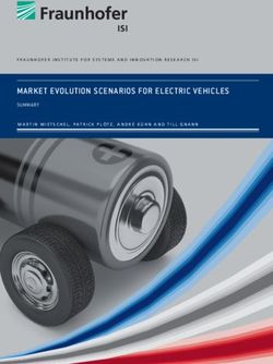 MARKET EVOLUTION SCENARIOS FOR ELECTRIC VEHICLES