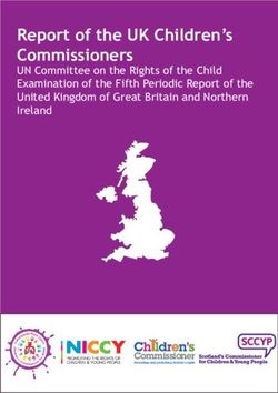 Report of the UK Children's Commissioners - UN Committee on the Rights of the Child Examination of the Fifth Periodic Report of the United Kingdom ...