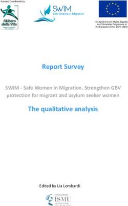 Report Survey SWIM - Safe Women in Migration. Strengthen GBV protection for migrant and asylum seeker women - Fondazione ISMU