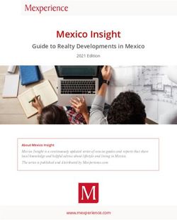 Mexico Insight Guide to Realty Developments in Mexico