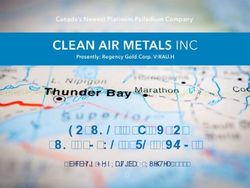 Thunder Bay North and Escape Lake Projects - Corporate Presentation | February 2020 - Clean Air Metals