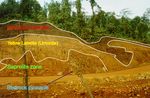 Current State of the Sc Recovery Possibilities during Hydrometallurgical Treatment of Lateritic Ni-Co Ores - Scale Project