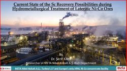 Current State of the Sc Recovery Possibilities during Hydrometallurgical Treatment of Lateritic Ni-Co Ores - Scale Project