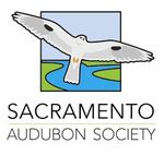 The Observer - Sacramento Audubon Society