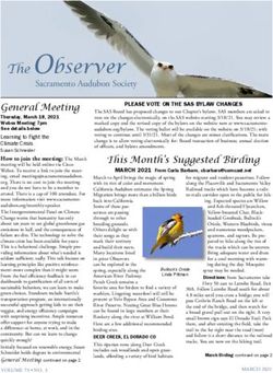 The Observer - Sacramento Audubon Society