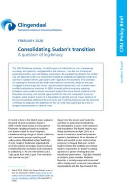 Consolidating Sudan's transition - A question of legitimacy - Clingendael Institute