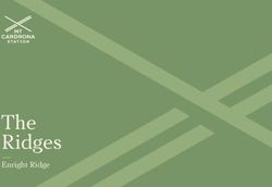 The Ridges Enright Ridge - Mt Cardrona Station