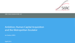 Ambition, Human Capital Acquisition and the Metropolitan Escalator - SERC DISCUSSION PAPER 107