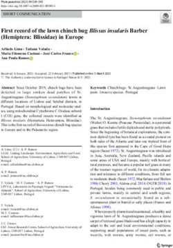 First record of the lawn chinch bug Blissus insularis Barber (Hemiptera: Blissidae) in Europe