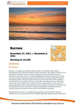 Borneo - International Medical Relief