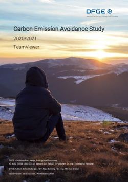 CARBON EMISSION AVOIDANCE STUDY - 2020/2021 TEAMVIEWER - HANDELSBLATT