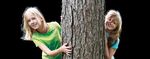 Protecting the trees RONDELLO - Tree protection system 2.0 - MeierGuss