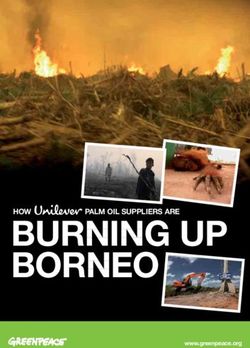 BURNING UP BORNEO www.greenpeace.org