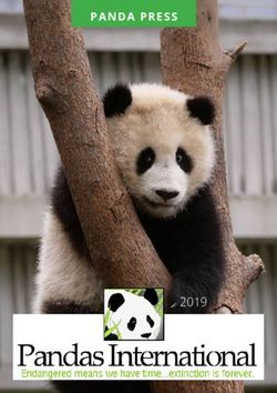 PANDA PRESS 2019 - Pandas International