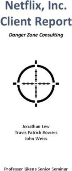 Netflix, Inc. Client Report - Danger Zone Consulting - Jonathan Lew Travis Patrick Bowers