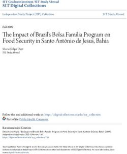 The Impact of Brazil's Bolsa Familia Program on Food Security in Santo Antônio de Jesus, Bahia
