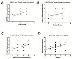 Deregulation of VEGFR-2 and PGFR expression and microvascular density in a triple-negative model of canine malignant mammary tumors with lymph ...
