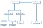 Deregulation of VEGFR-2 and PGFR expression and microvascular density in a triple-negative model of canine malignant mammary tumors with lymph ...