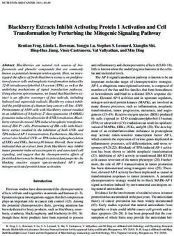 Blackberry Extracts Inhibit Activating Protein 1 Activation and Cell Transformation by Perturbing the Mitogenic Signaling Pathway