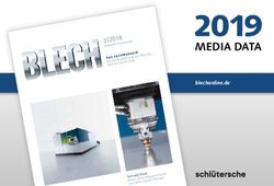 2019 MEDIA DATA - Blechonline