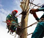 Investing to transform lives - Strategic framework 2017-2021 CDC: the UK's development finance institution - CDC Group