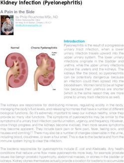 Kidney Infection (Pyelonephritis) - A Pain in the Side