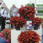 2021 September 7th-8th - Exhibitor Booking Information - Four Oaks Trade Show
