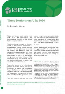 Three Stories from USA 2020 - by Riccardo Alcaro - IAI Istituto Affari Internazionali