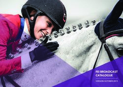 FEI BROADCAST CATALOGUE - VERSION OCTOBER 2015 - Inside FEI