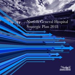 Norfolk General Hospital Strategic Plan 2018