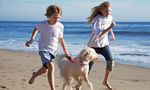 Healthy Pets, Healthy Families Initiative - February 2014 A publication of the 2020 Healthy Pets, Healthy Families Coalition - Los Angeles County ...