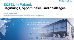 ECSEL in Poland. Beginnings, opportunities, and challenges - Mateusz Bonecki, Ph.D - Ecsel JU
