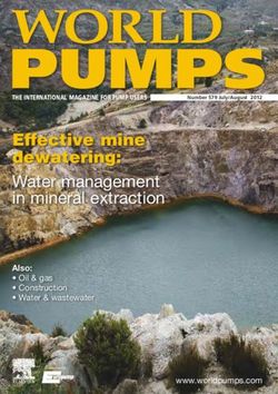 Effective mine dewatering: Water management in mineral extraction Also: Neptuno Pumps