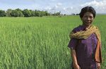 Reflections Your generosity is - Our actions in review - Jesuit Mission