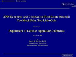 2009 Economic and Commercial Real Estate Outlook: Too Much Pain, Too Little Gain