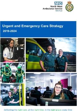 Urgent and Emergency Care Strategy 2019-2024 - North West ...