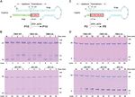 Crystal structure of a tick-borne flavivirus RNA-dependent RNA polymerase suggests a host adaptation hotspot in RNA viruses