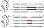 Crystal structure of a tick-borne flavivirus RNA-dependent RNA polymerase suggests a host adaptation hotspot in RNA viruses