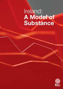 A Model of Substance Ireland: IBEC