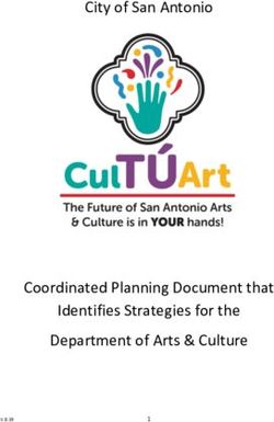 City of San Antonio - Coordinated Planning Document that Identifies Strategies for the Department of Arts & Culture