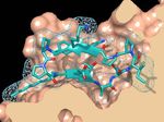 Santhera Pharmaceuticals - Developing medicines to meet the needs of patients living with rare diseases
