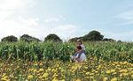WIRRAL THE OFFICIAL VISITOR GUIDE FOR 2016/17 - visitwirral.com