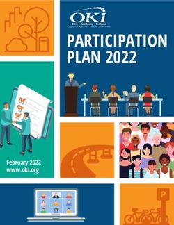 PARTICIPATION PLAN 2022 - February 2022 www.oki.org