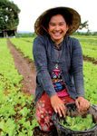 Promoting the leadership of women in producers' organizations: Lessons from the experiences of FAO and IFAD
