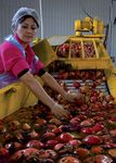 Promoting the leadership of women in producers' organizations: Lessons from the experiences of FAO and IFAD