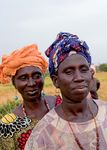 Promoting the leadership of women in producers' organizations: Lessons from the experiences of FAO and IFAD